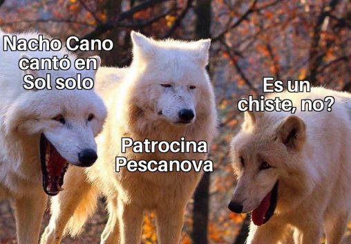 meme lobos nacho cano